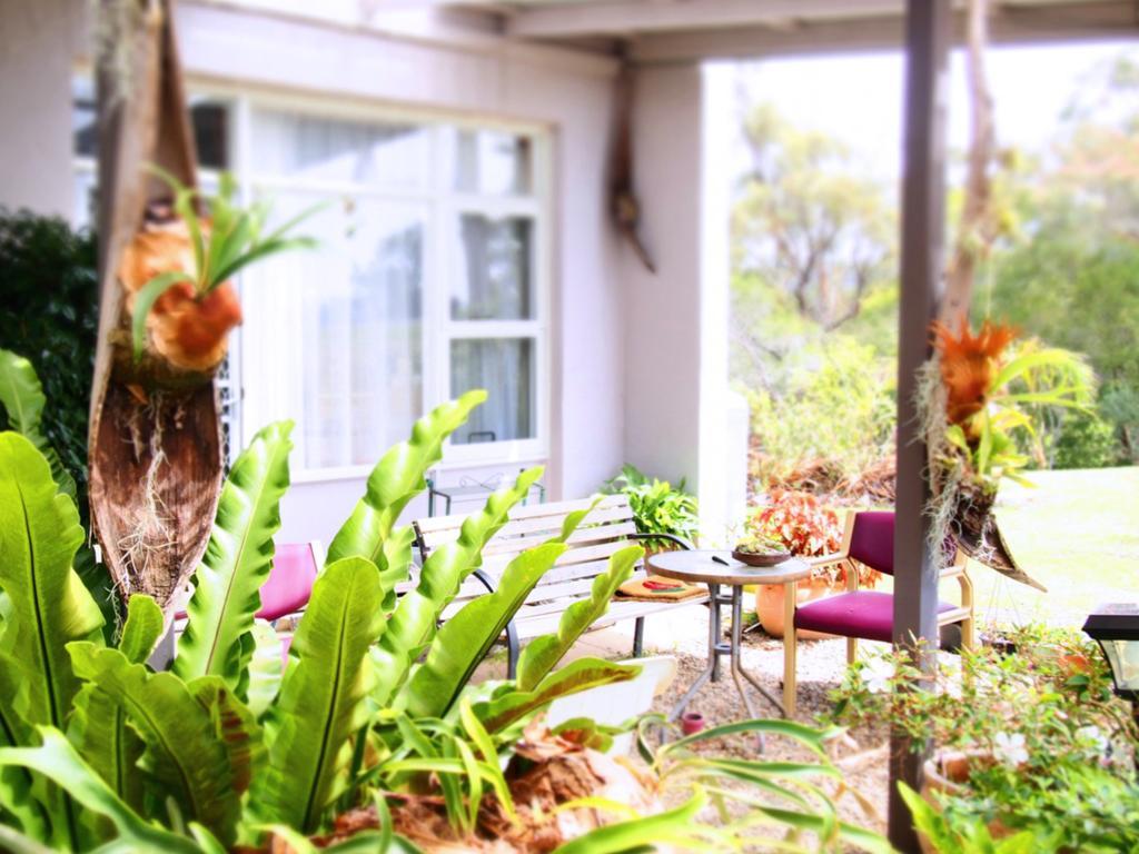 Norfolk Pine Motel Merimbula Eksteriør bilde